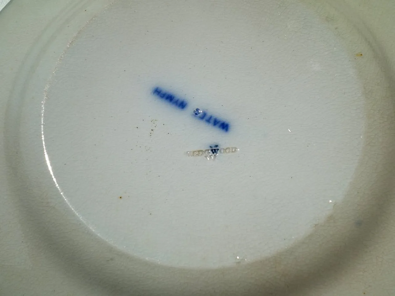 19 Water Nymph Plates in Blue Earthenware by Wedgwood England, 1850s 9