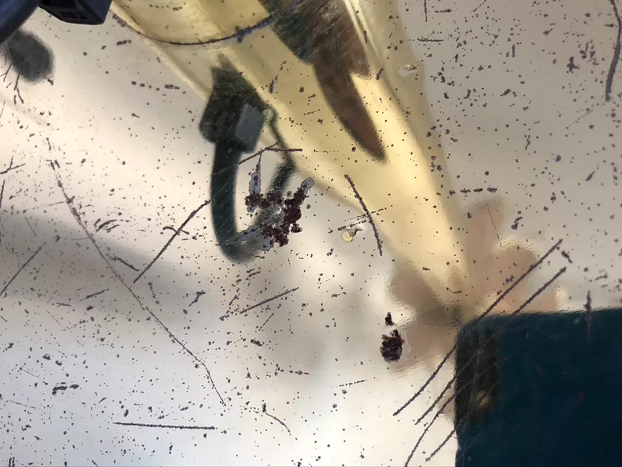 Lampada da terra a forma di fiore di loto, anni '70 5