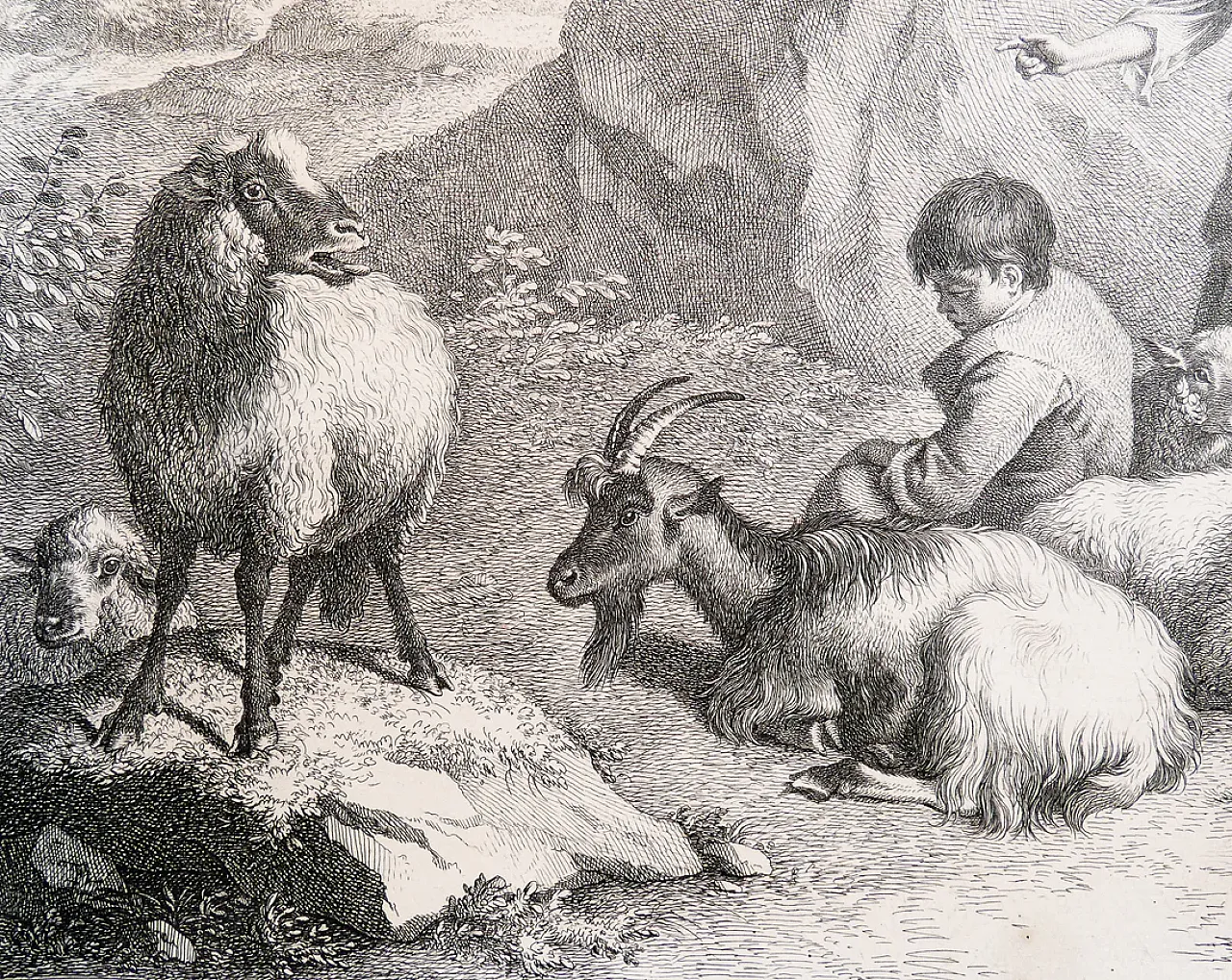 Scena Bucolica di Francesco Londonio, '800 7