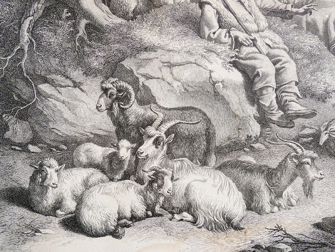 Scena Bucolica di Francesco Londonio, '800 6