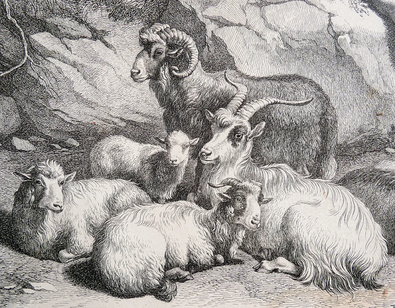 Scena Bucolica di Francesco Londonio, '800 7