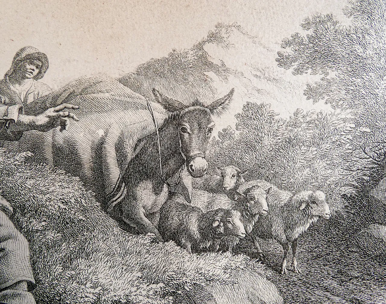 Scena Bucolica di Francesco Londonio, '800 8