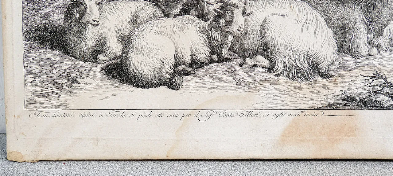 Scena Bucolica di Francesco Londonio, '800 9