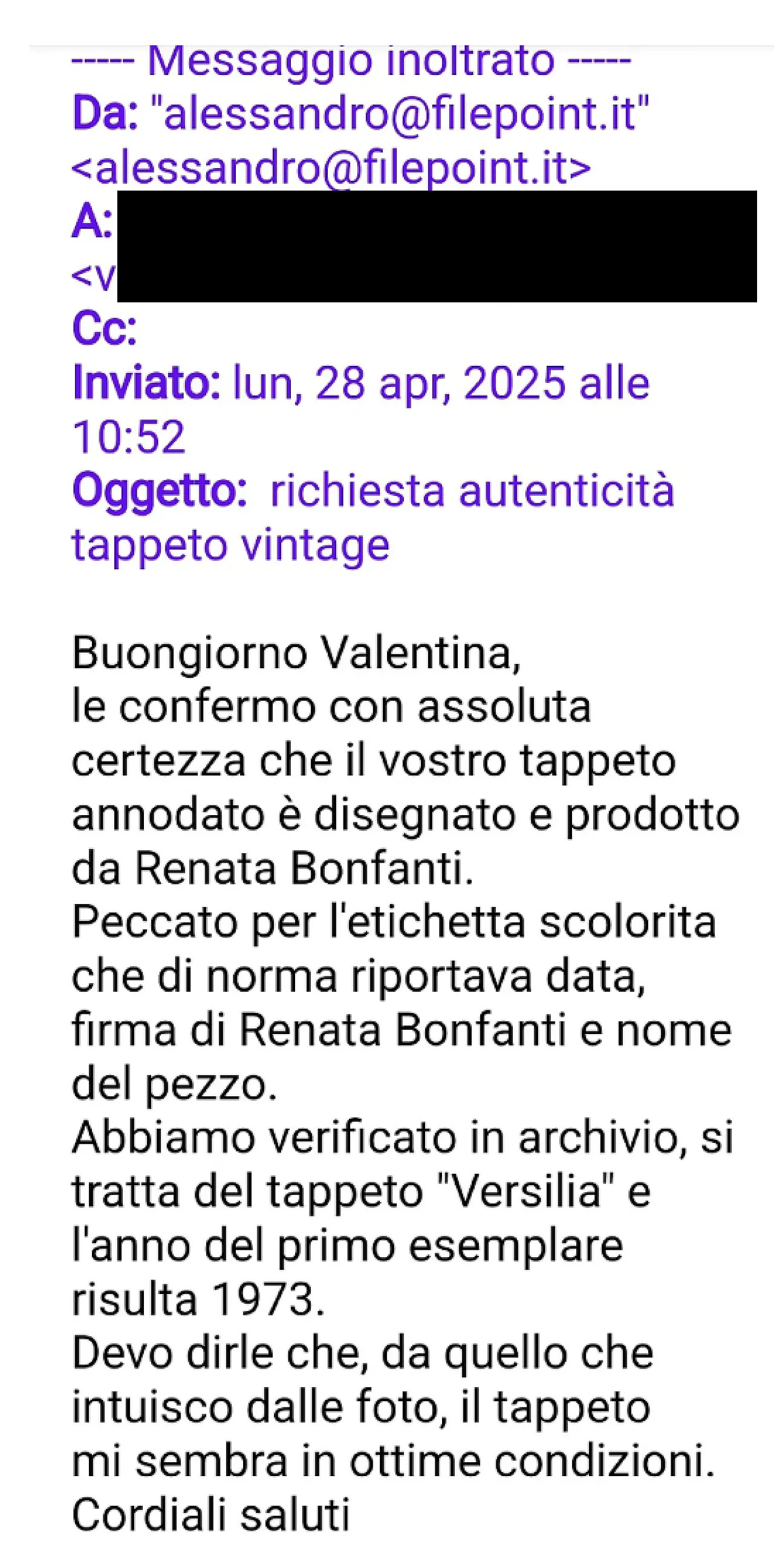 Versilia model carpet by Renata Bonfanti year 1973 9