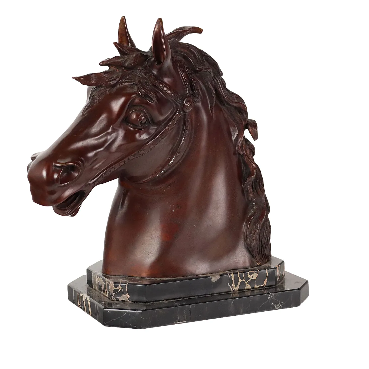 Testa di cavallo in bronzo F.G. Ruocco, fine '900 1