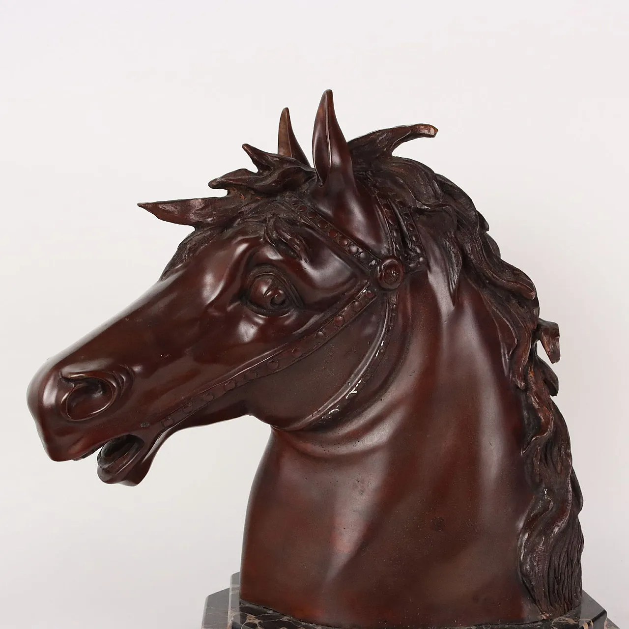 Testa di cavallo in bronzo F.G. Ruocco, fine '900 3