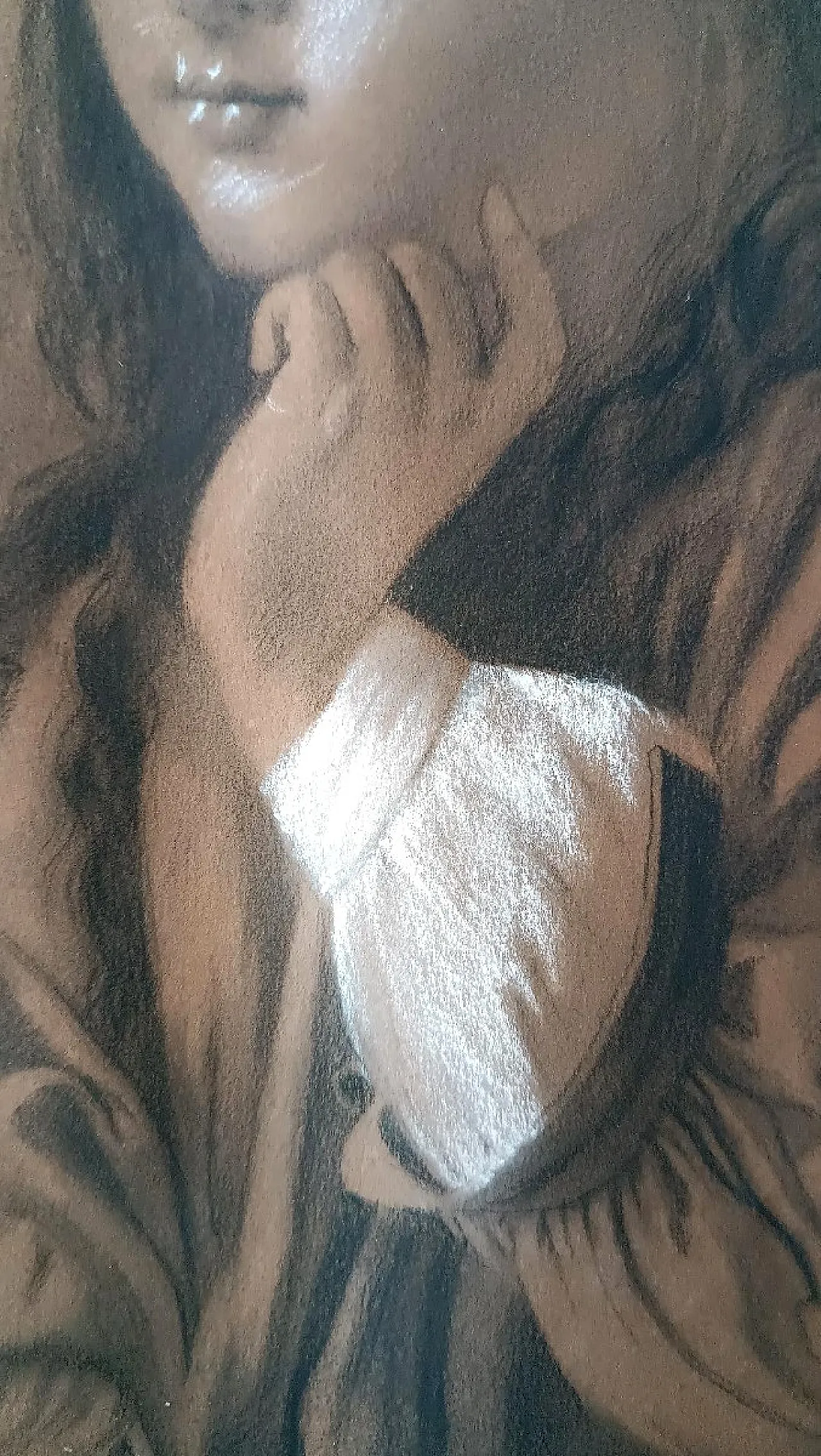 Female Portrait by Borsa, charcoal and pencil drawing, 19th century 7