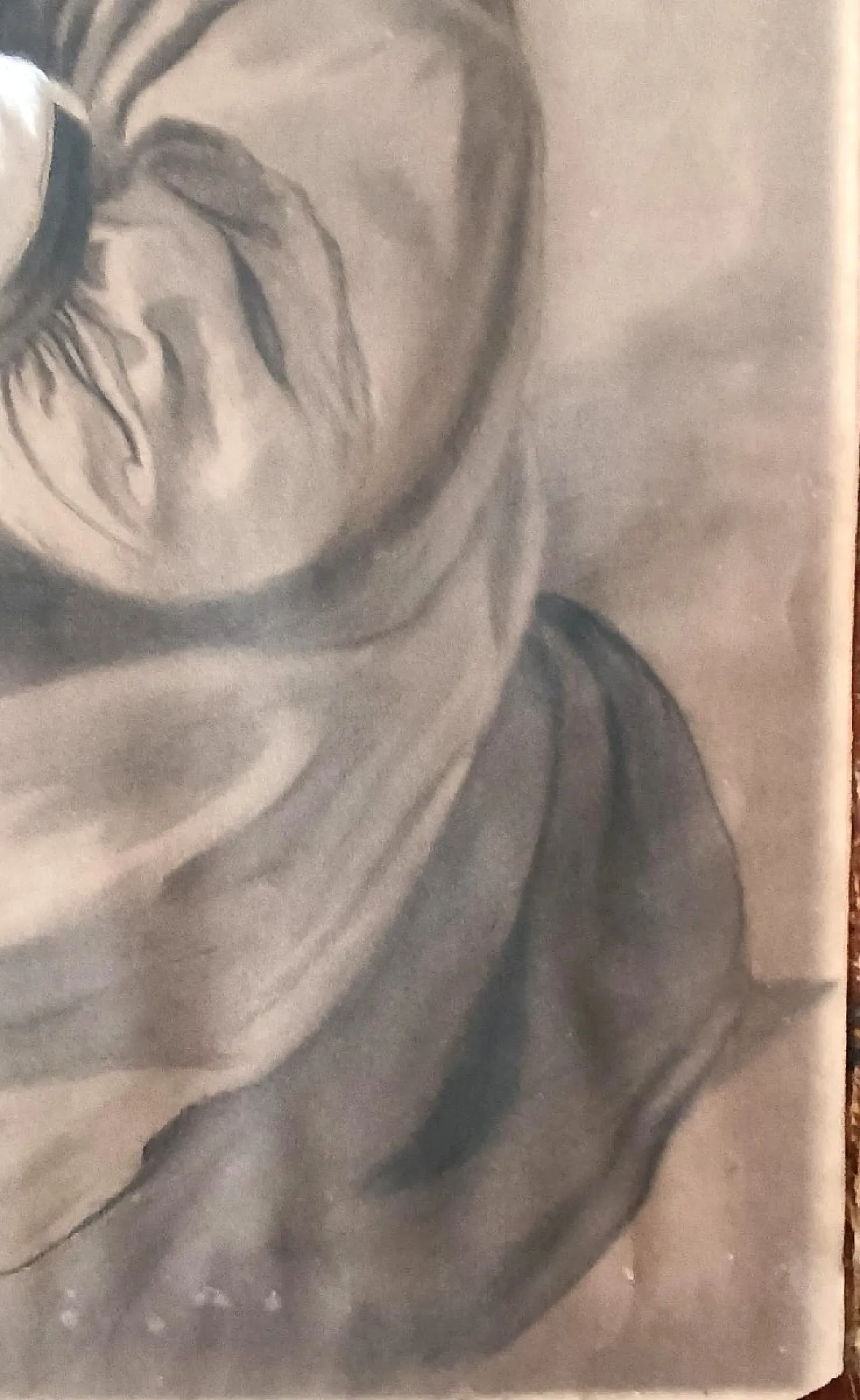 Female Portrait by Borsa, charcoal and pencil drawing, 19th century 8