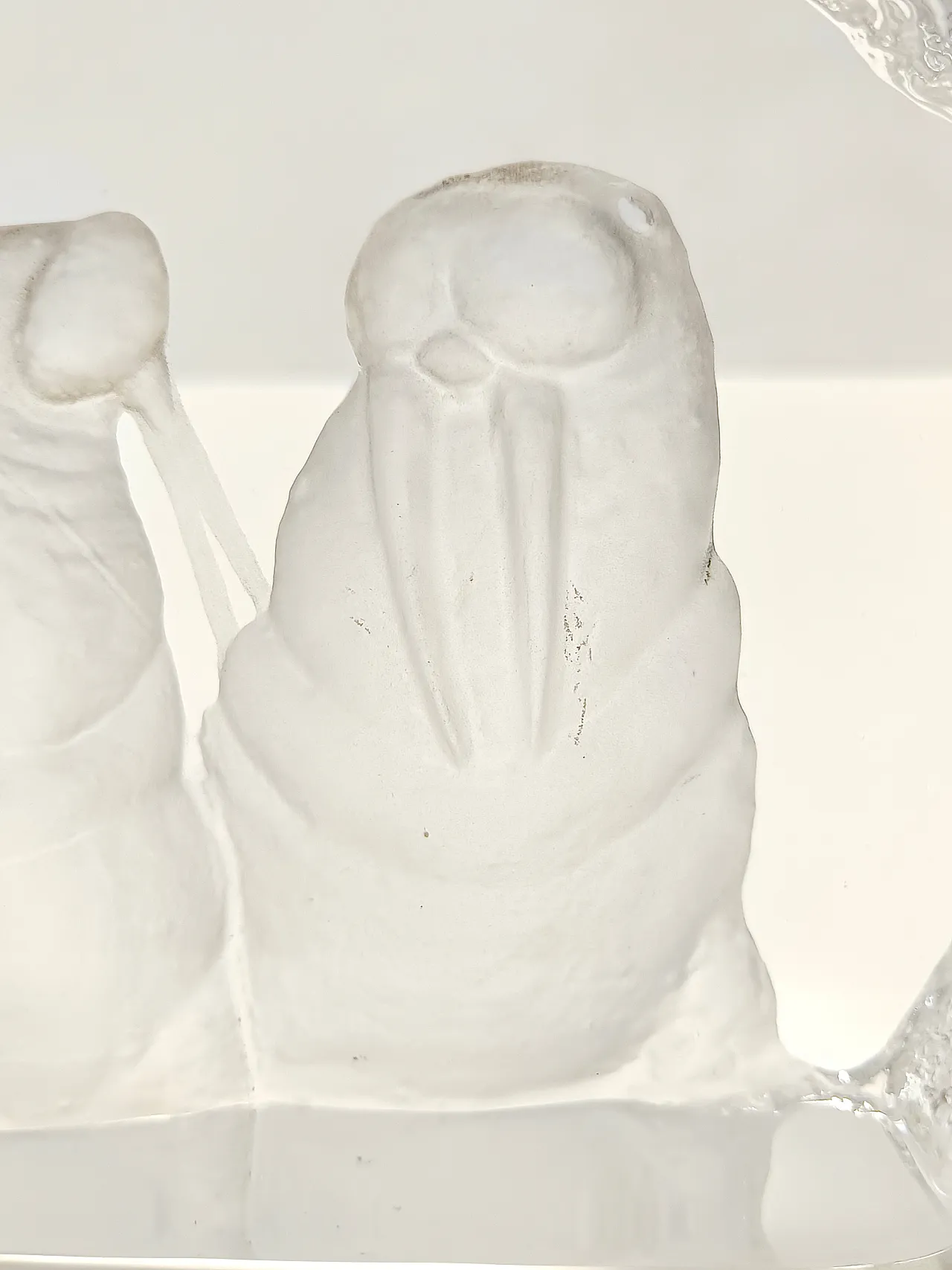 Etched lass with Walruses by Mats Jonasson for by Kosta Boda, 70s 10