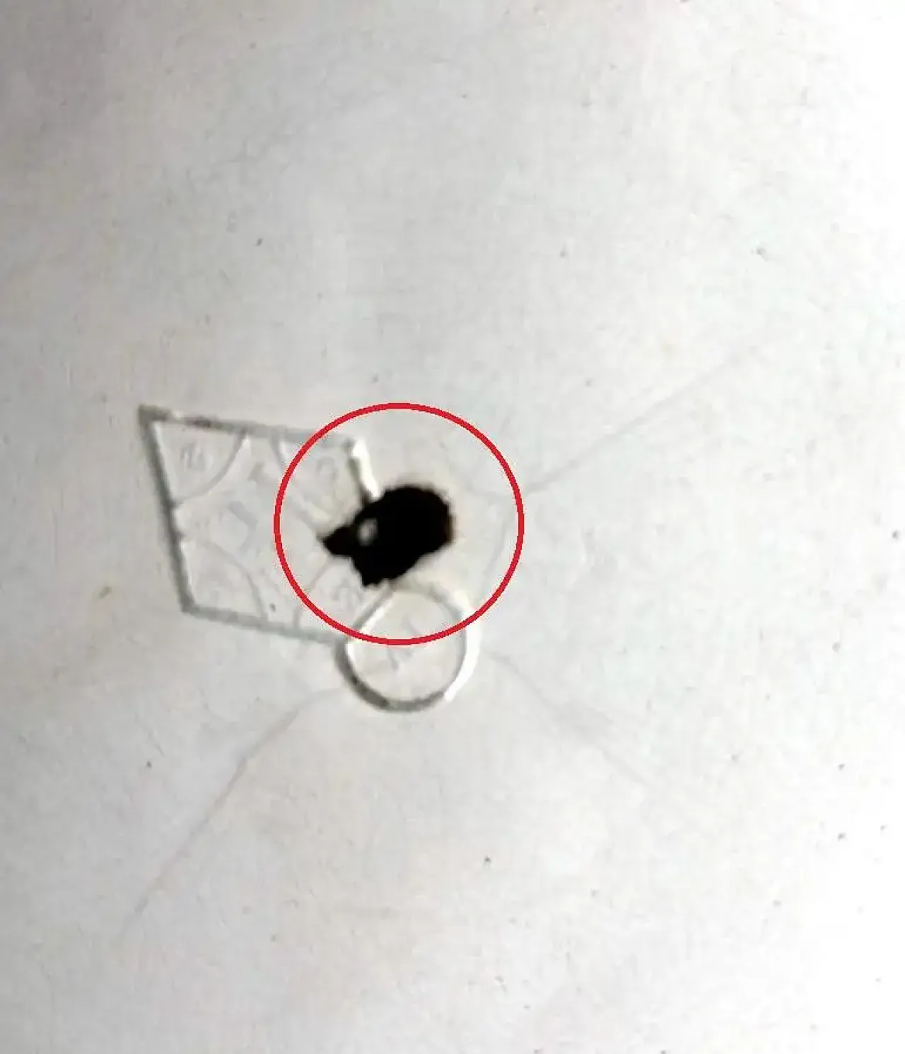 Coppia di zuppiere in porcellana inglese vittoriana, metà '800 11