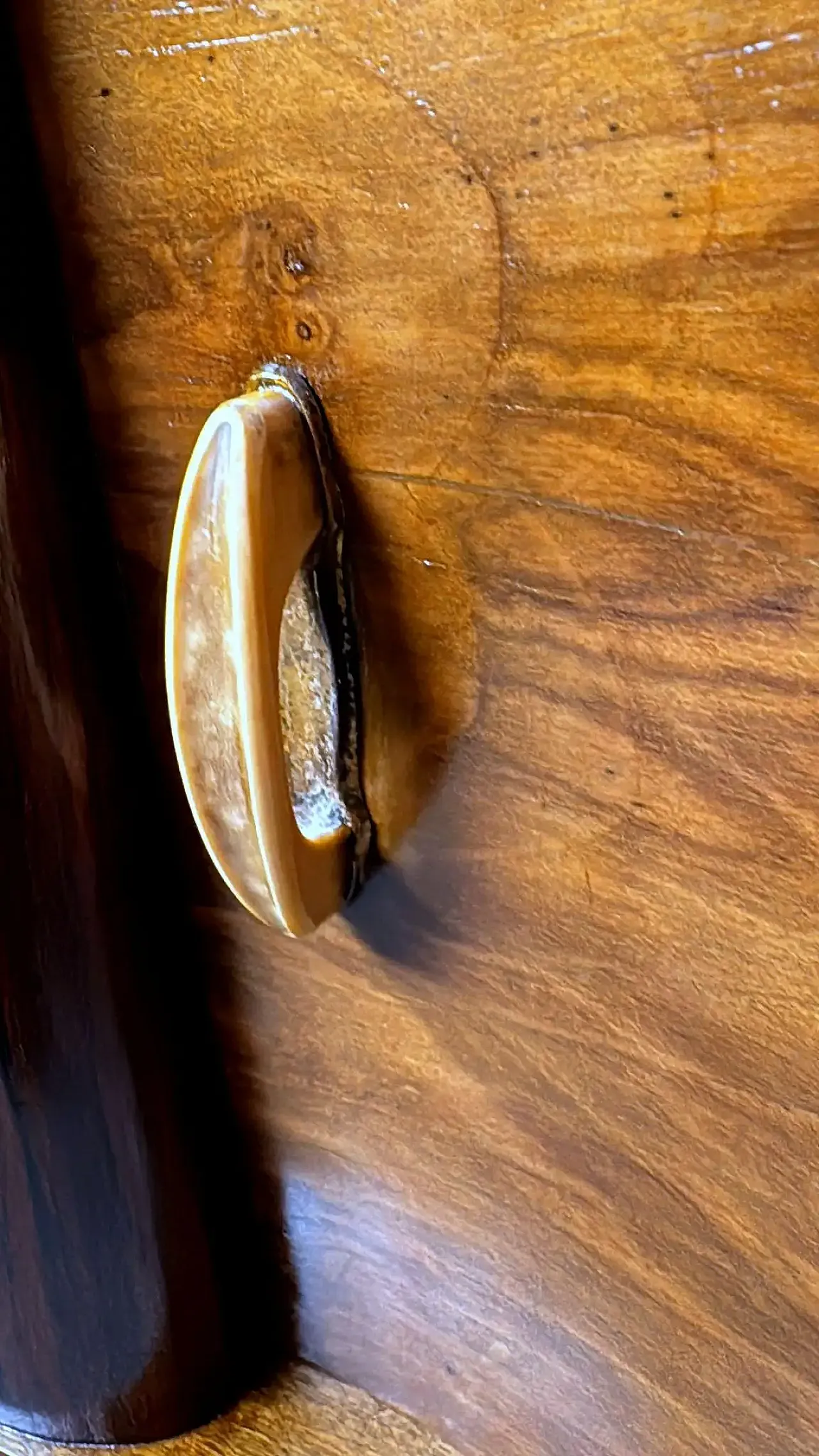 Pair of Art Deco bedside tables with black glass tops, 1930s 18