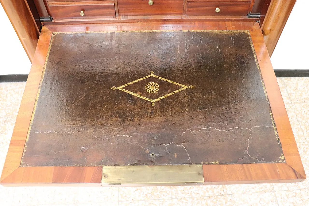 Secretaire in Mhaogian, 19th century 10