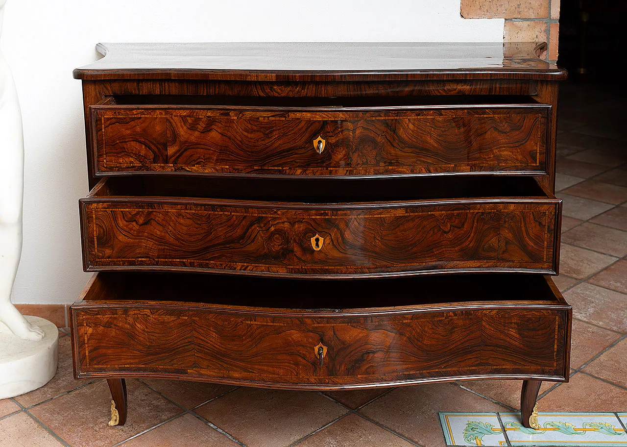 Chest of drawers Louis XIV Neapolitan in walnut root, 18th century 2