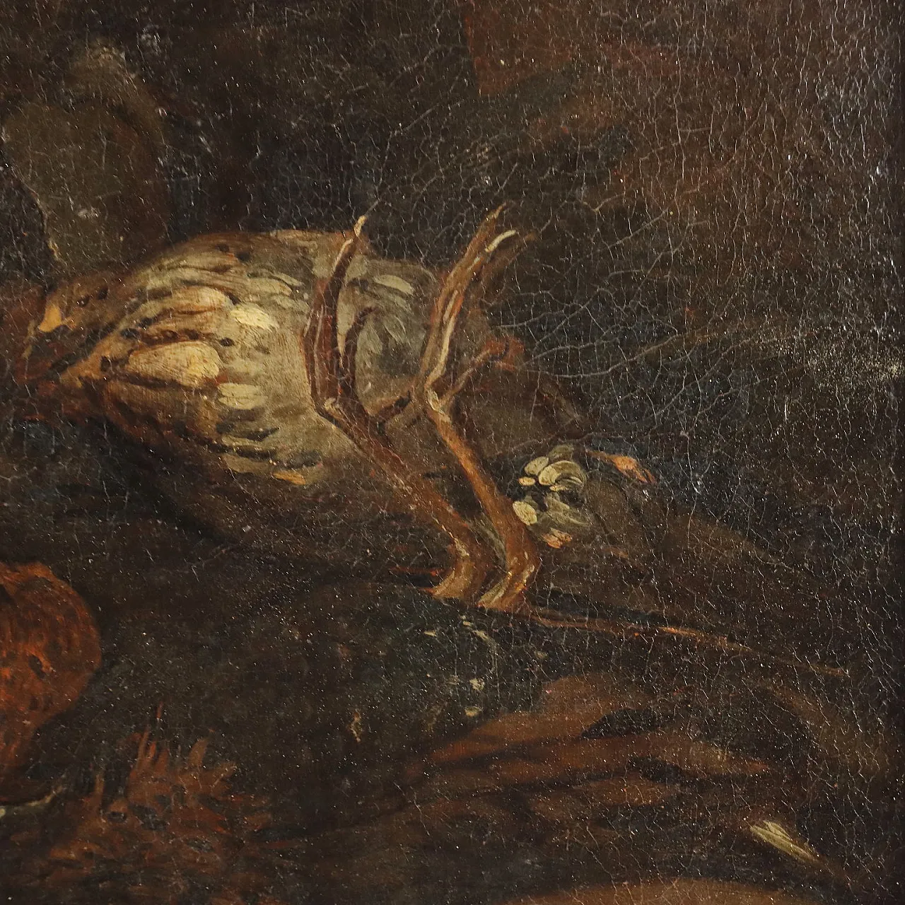 Circle of Felice Boselli, still life with game, oil painting on canvas, 18th century 7