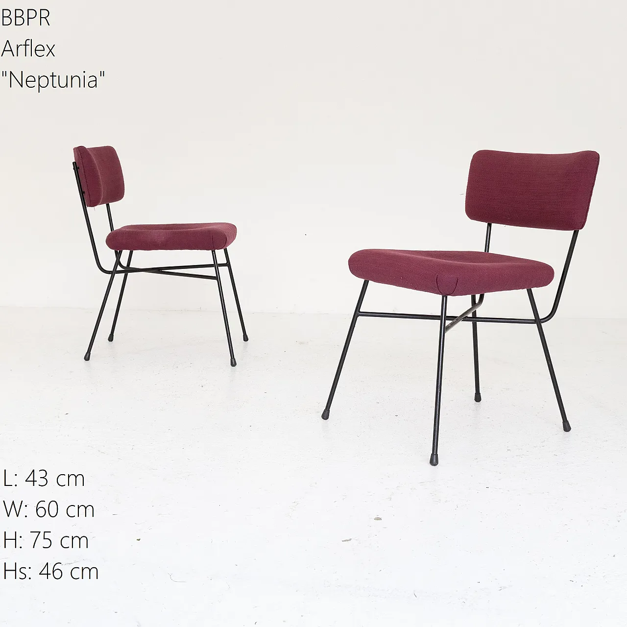 Coppia di sedie Neptunia di BBPR per Arflex, anni ’50 7