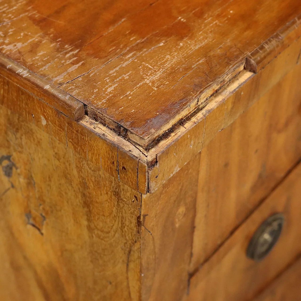 Cassettiera Impero in noce, metà '800 4