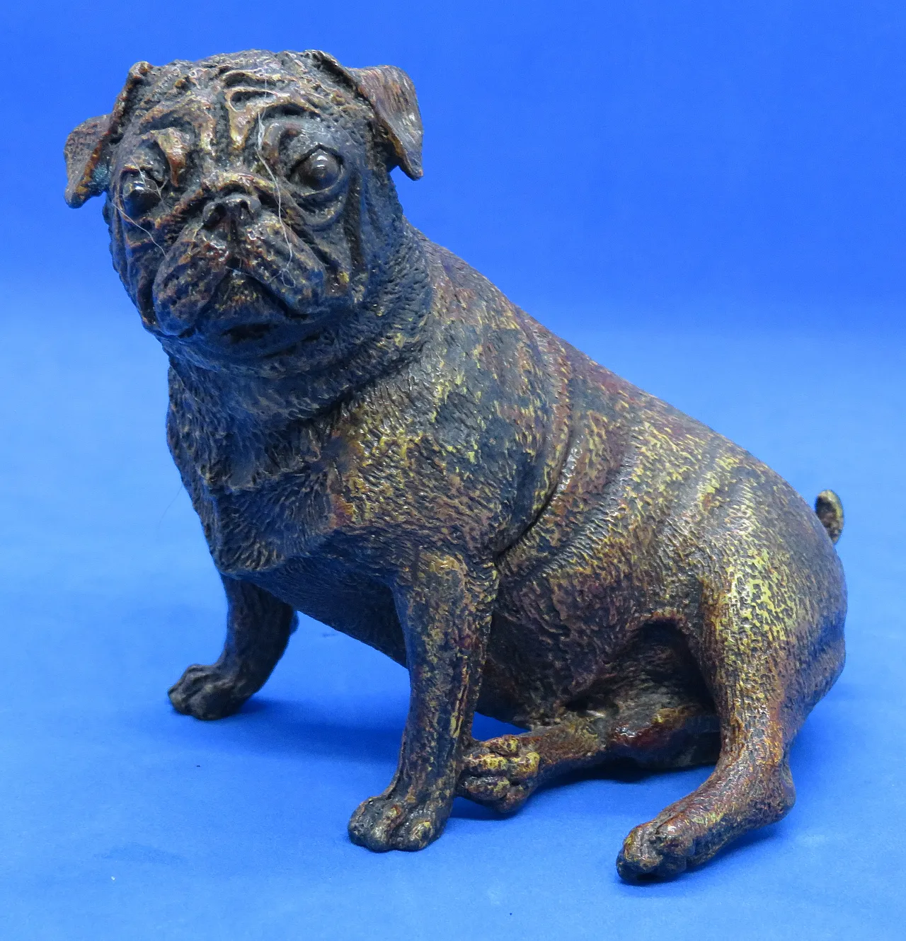 Pug figurine in cold-painted bronze by Franz Bergman, 19th century 2