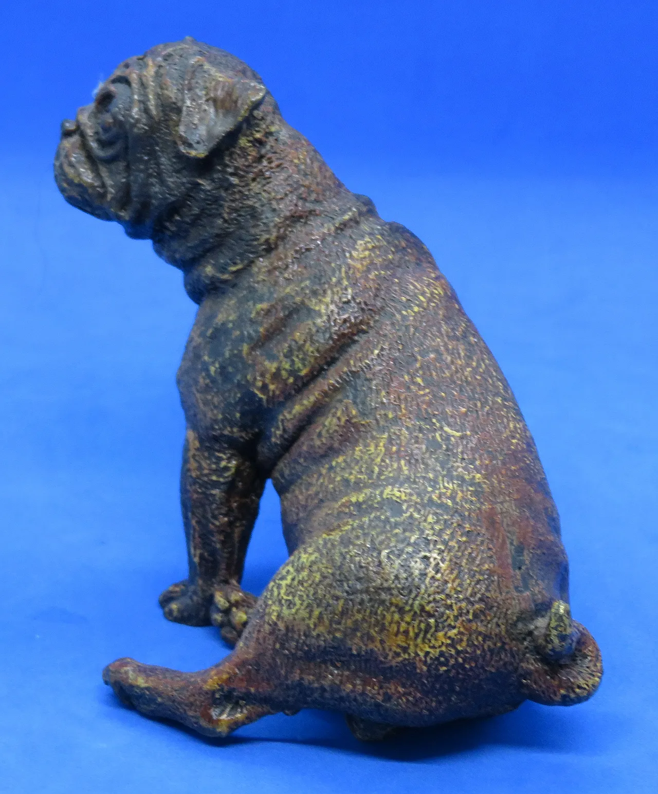Pug figurine in cold-painted bronze by Franz Bergman, 19th century 3