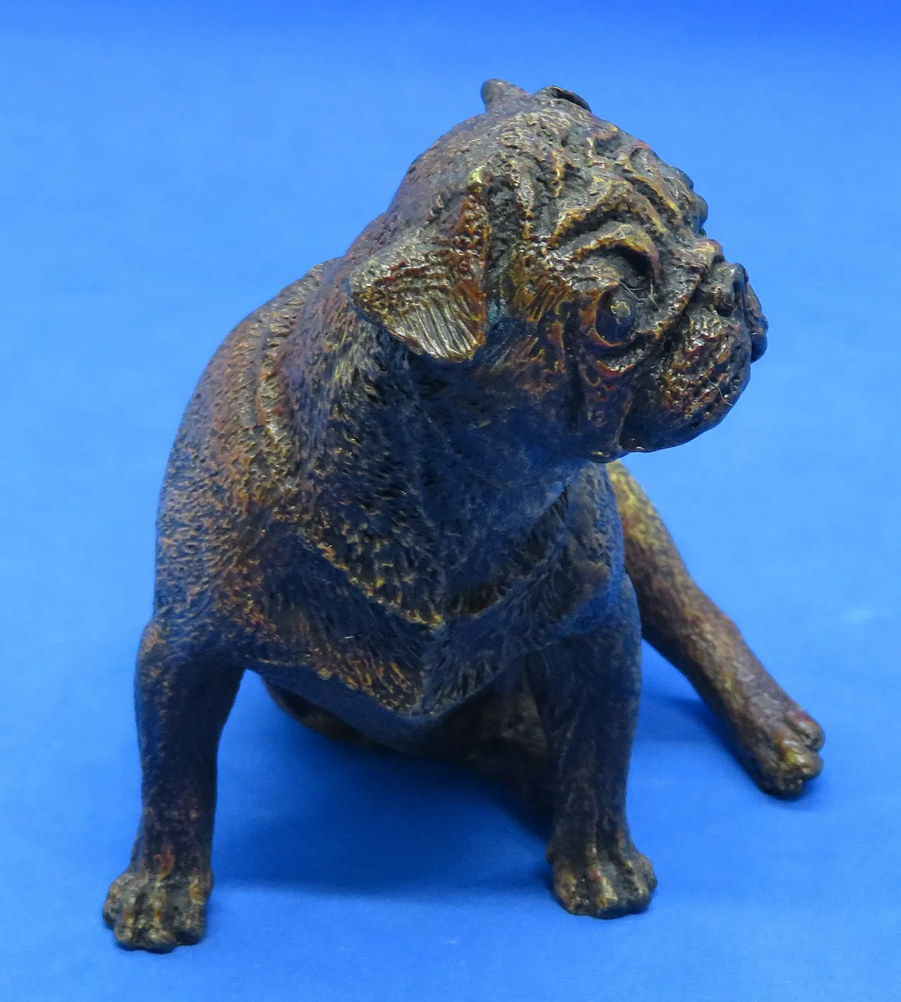 Pug figurine in cold-painted bronze by Franz Bergman, 19th century 5
