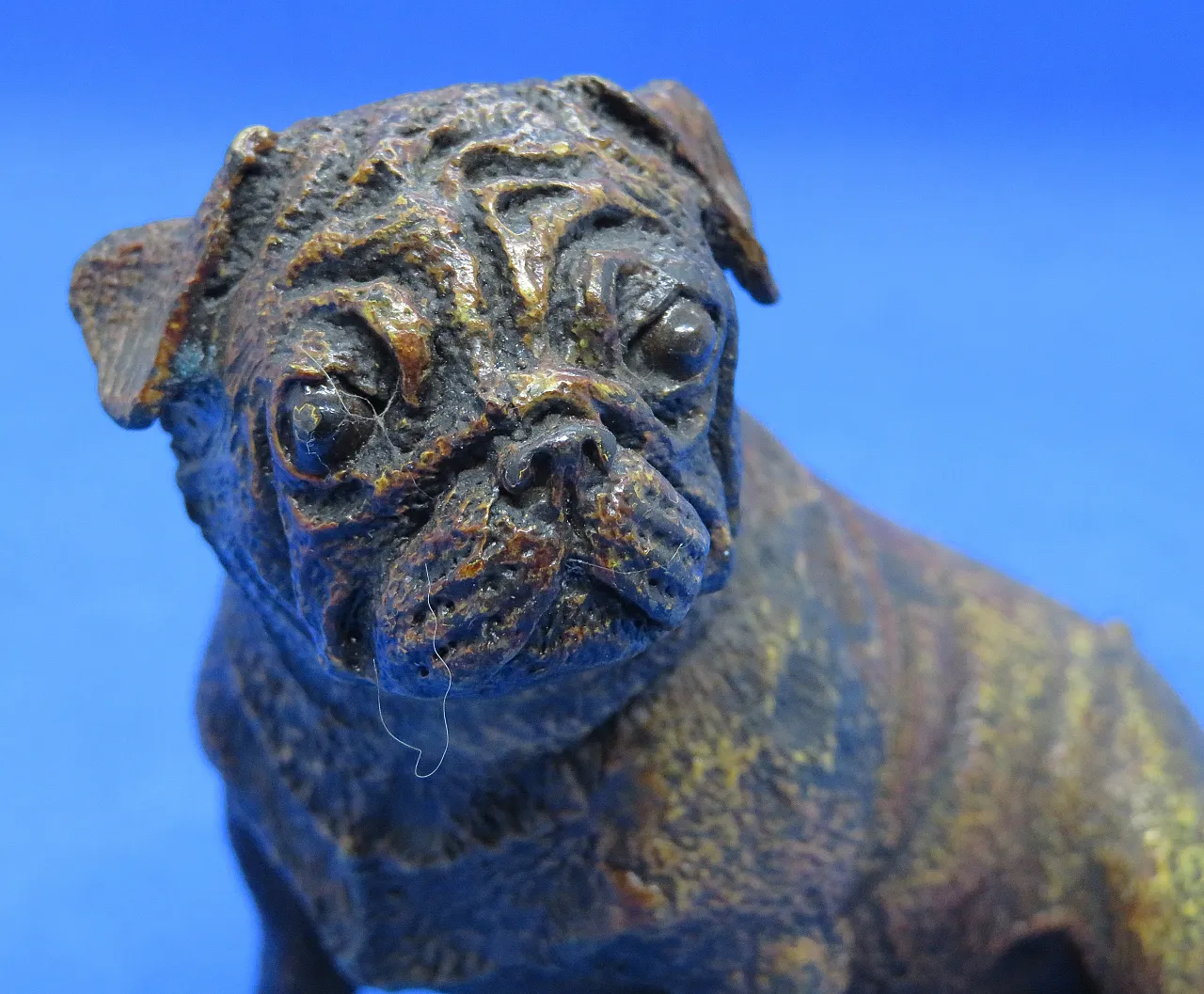 Pug figurine in cold-painted bronze by Franz Bergman, 19th century 6