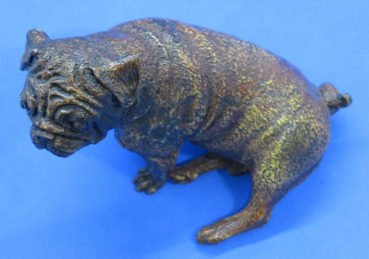 Pug figurine in cold-painted bronze by Franz Bergman, 19th century 8