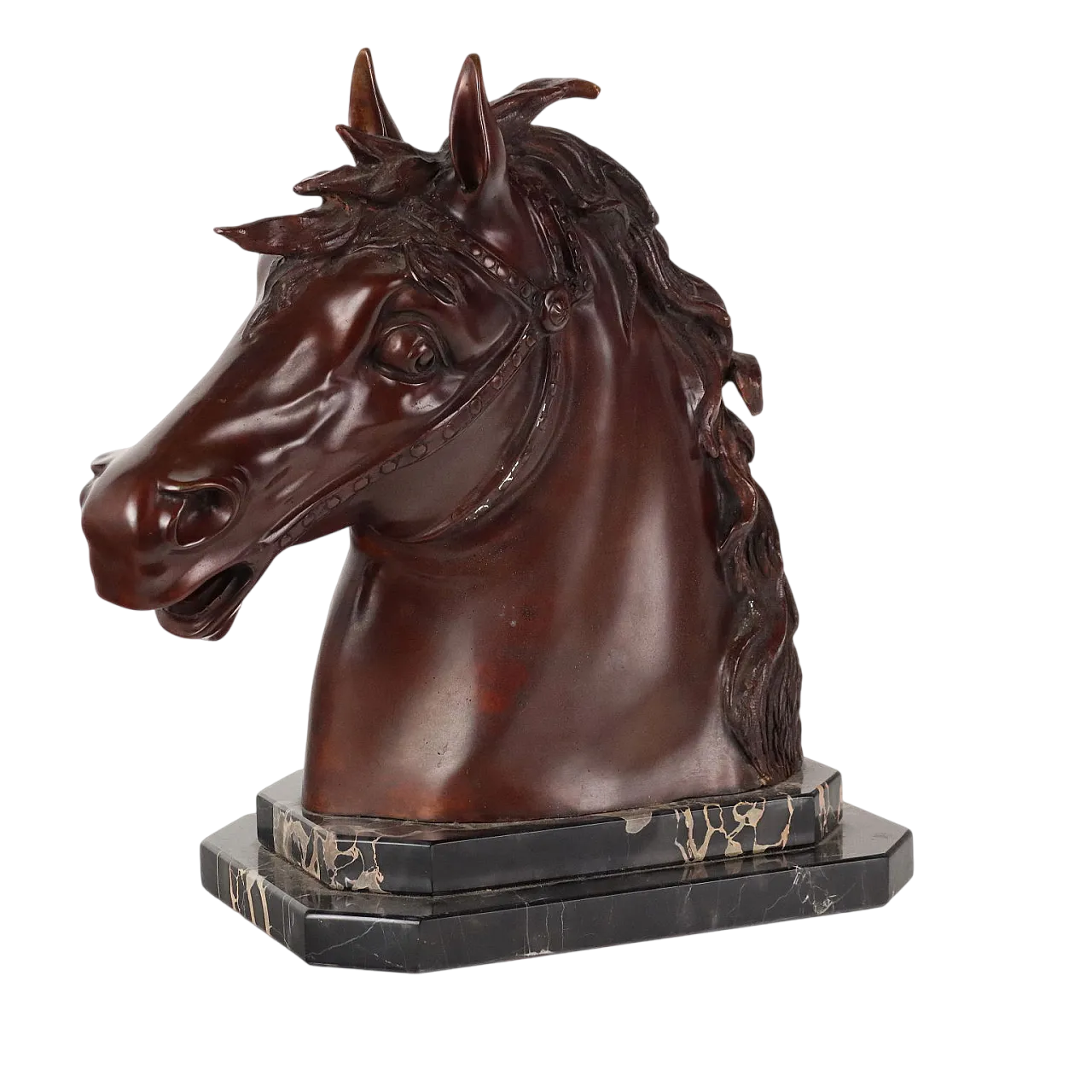 Testa di cavallo in bronzo F.G. Ruocco, fine '900 6