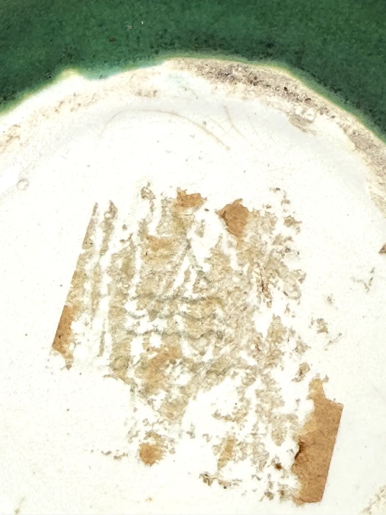 Scatola in ceramica verde di Angelo Biancini, SCI Laveno, anni '30 11