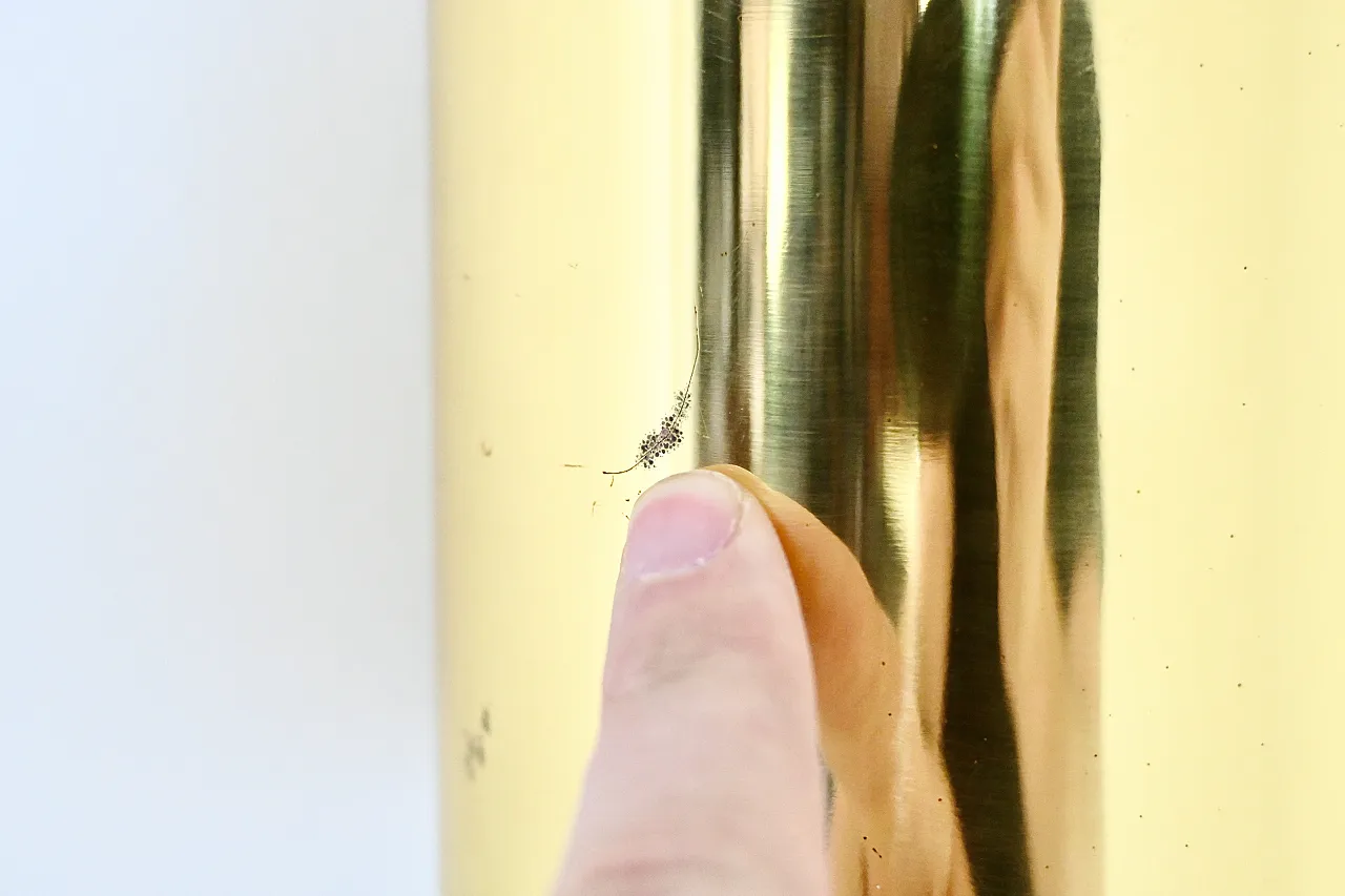 Lampada a parete Golden Foglio di Tobia e Afra Scarpa per Flos, anni '60 11