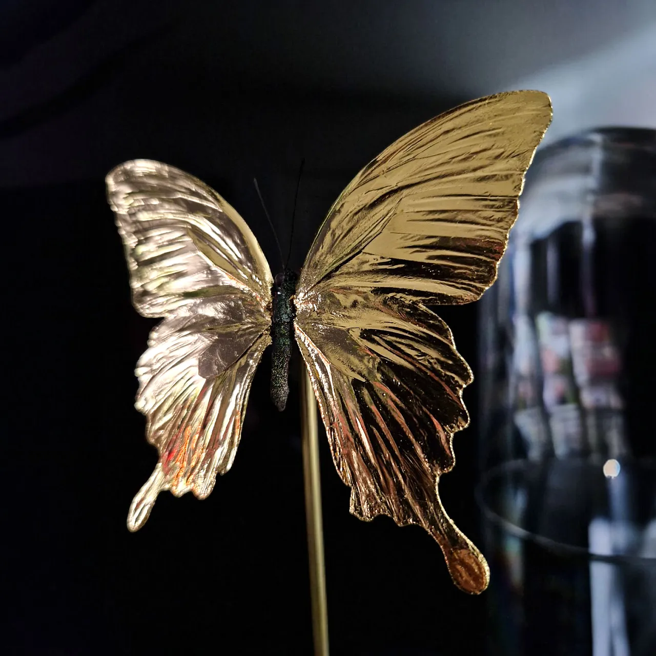 Real papilio butterfly gilded in 23kt gold under glass dome 3