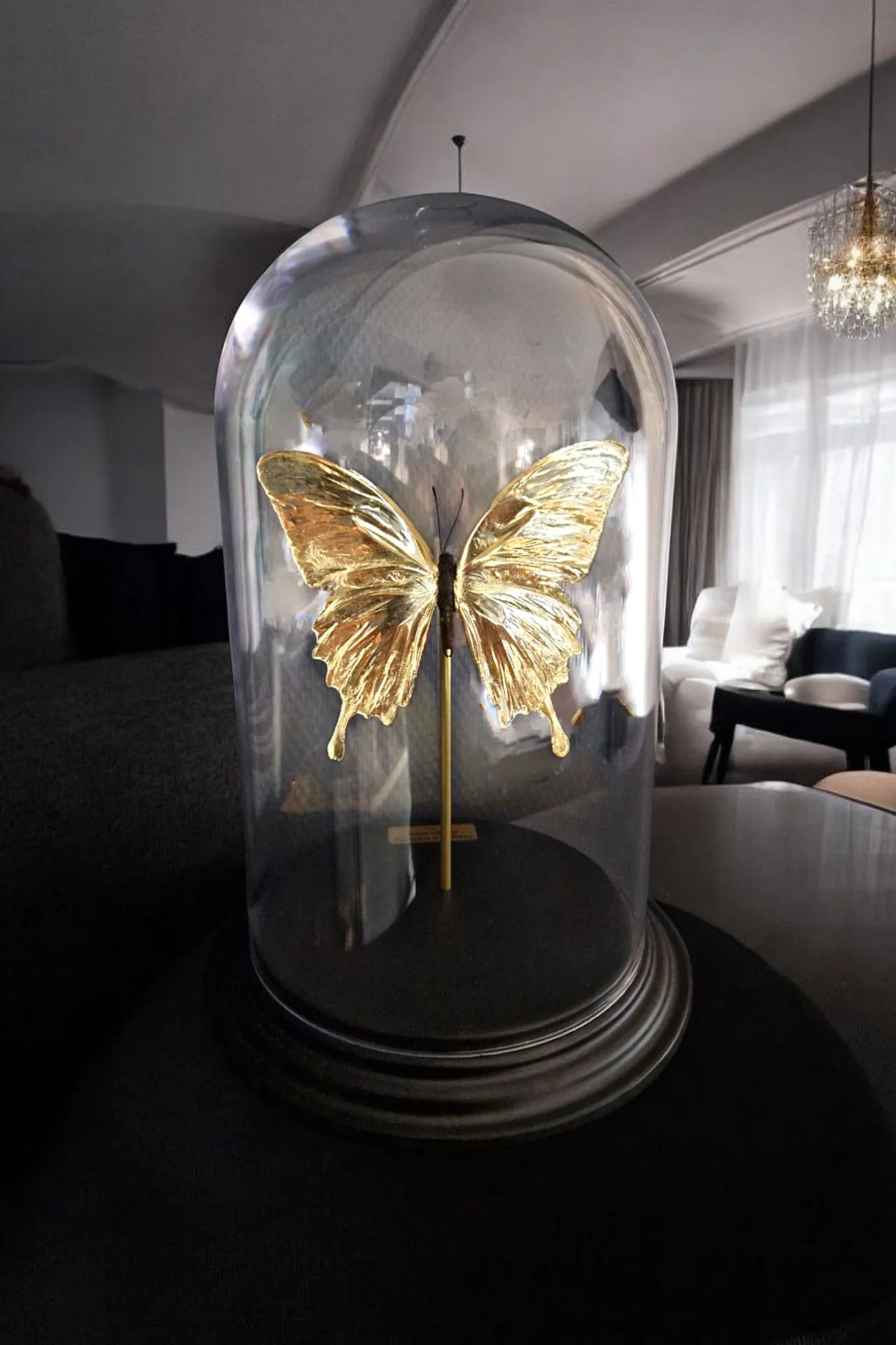 Real papilio butterfly gilded in 23kt gold under glass dome 4