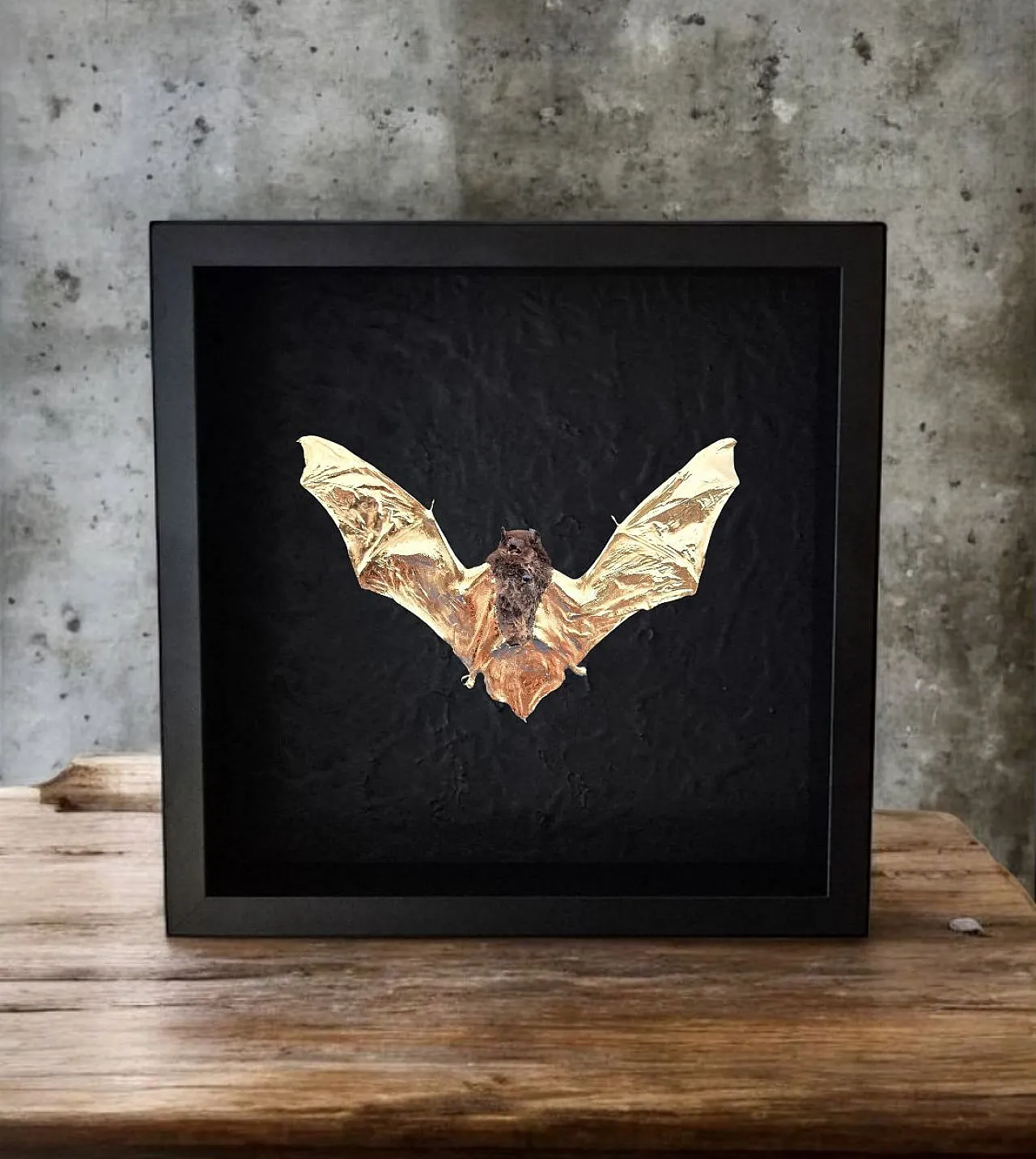 Real bat 23kt gold gilded in frame Taxidermy artwork 1