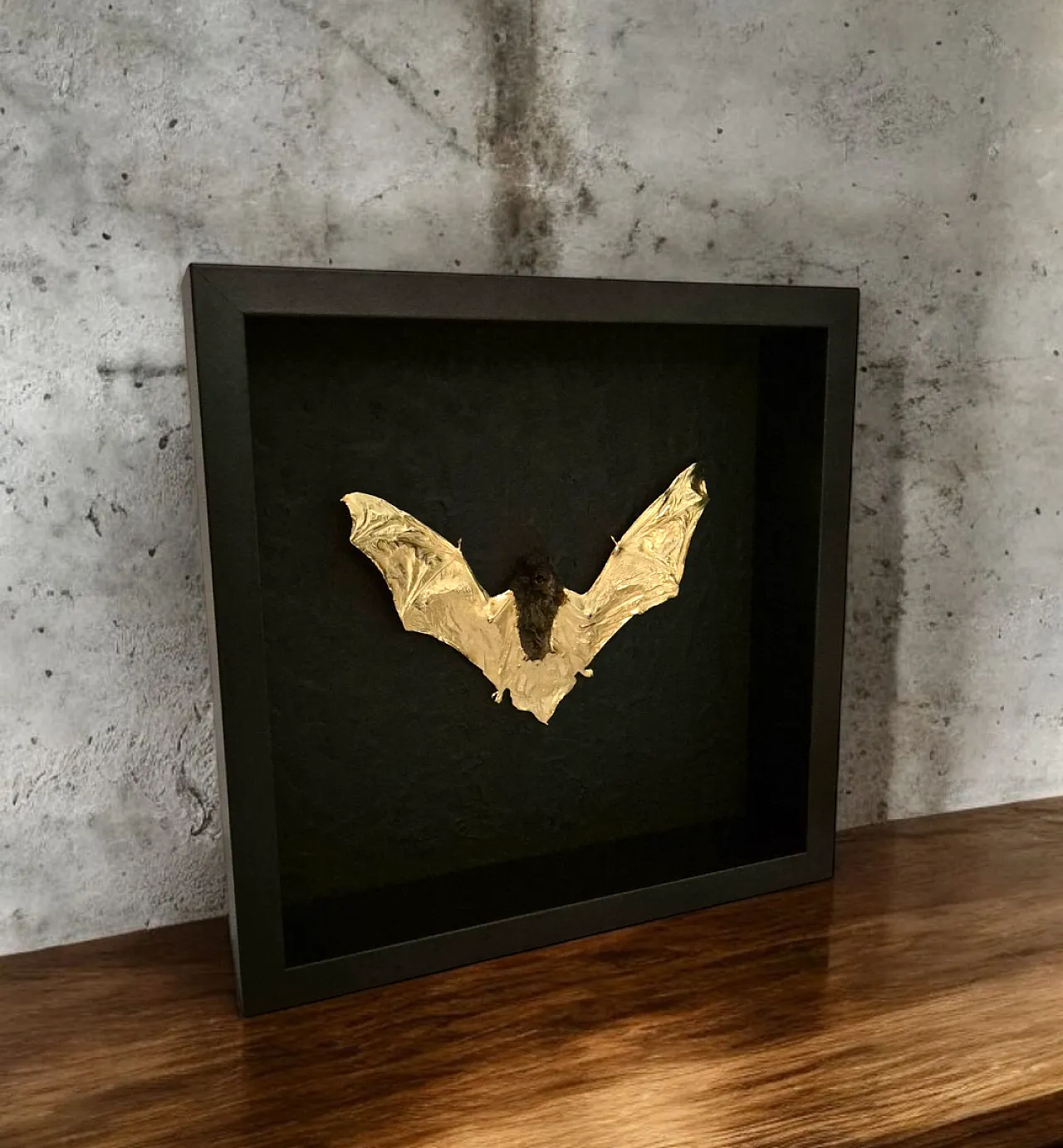 Real bat 23kt gold gilded in frame Taxidermy artwork 3