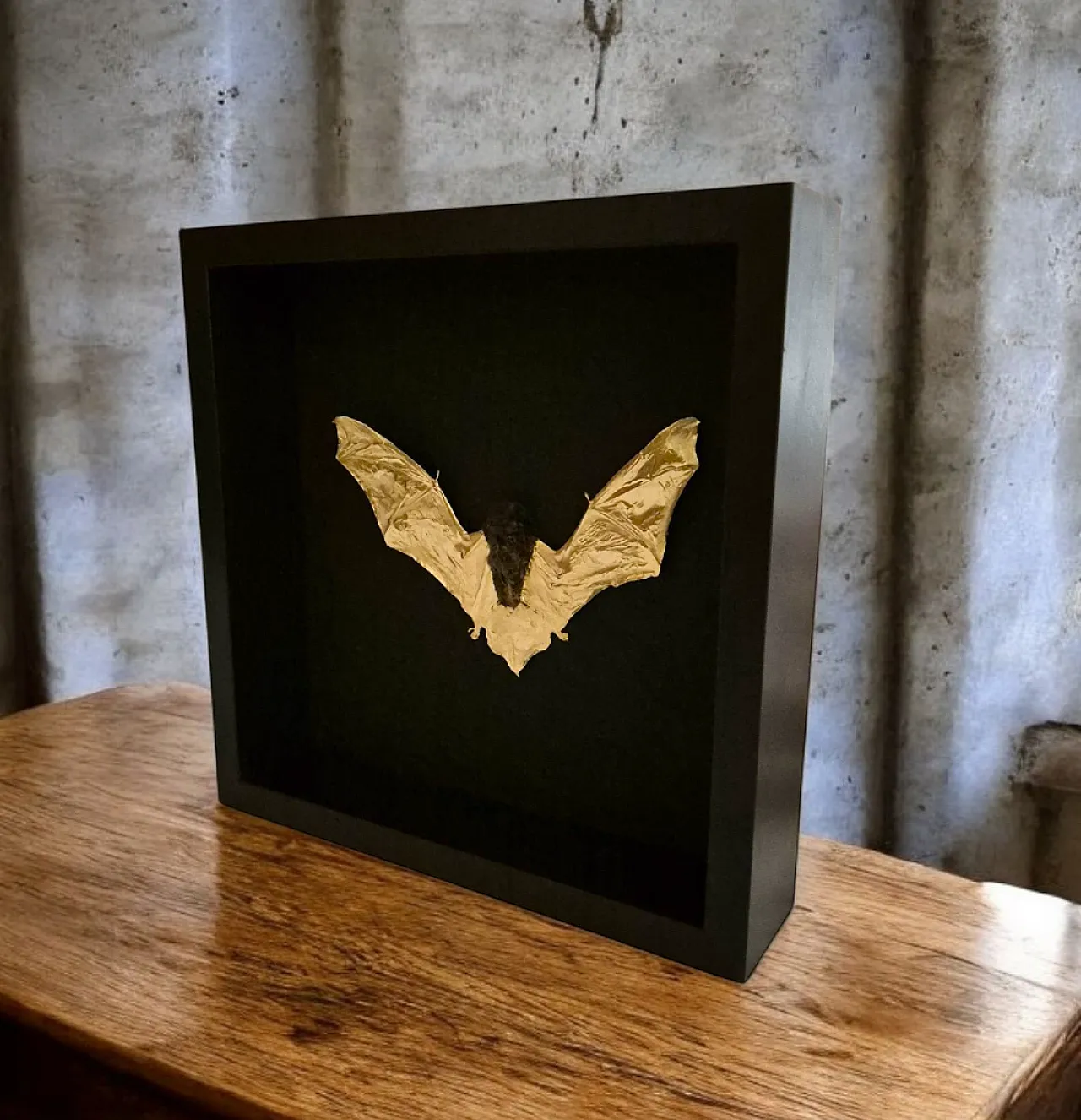 Real bat 23kt gold gilded in frame Taxidermy artwork 6