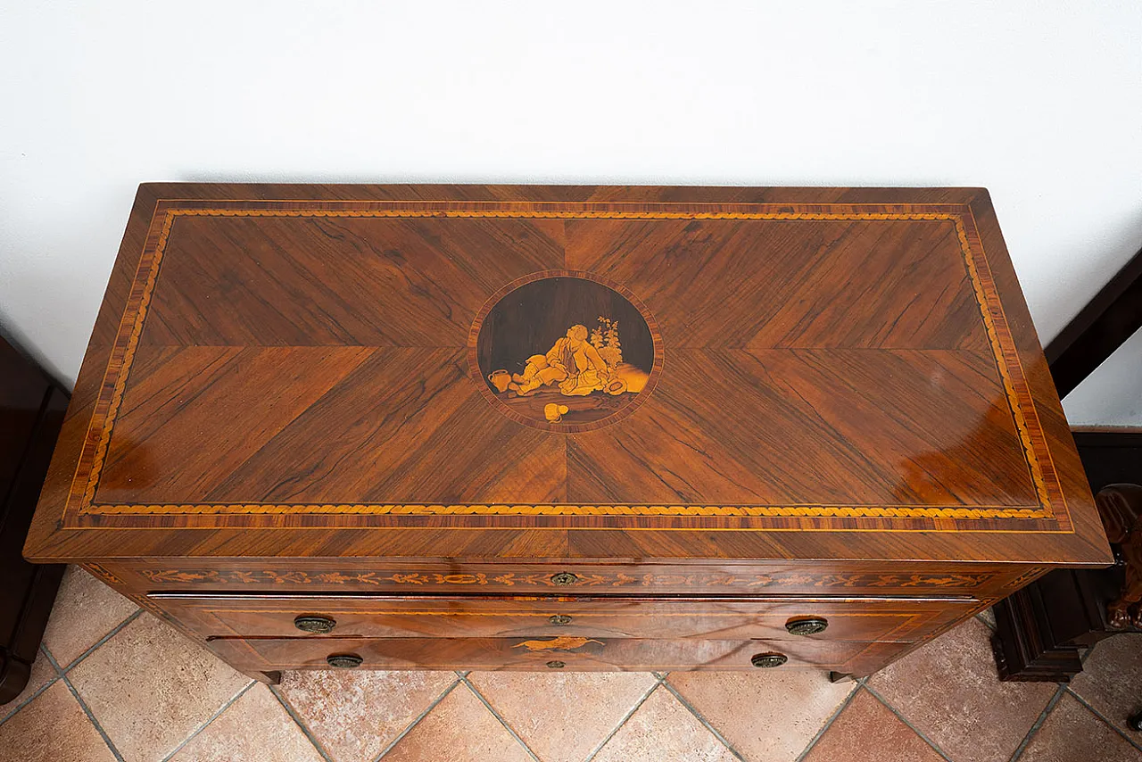 Louis XVI chest of drawers in precious woods, 18th century 4