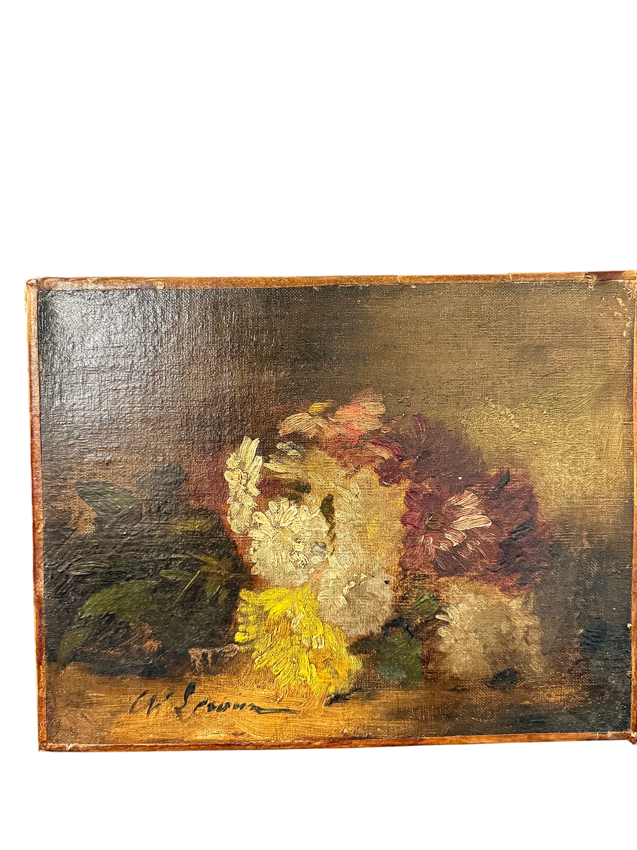 Natura morta, olio su tela, '800 8