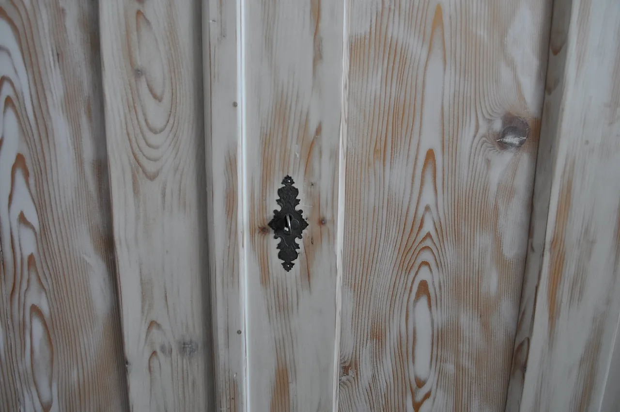 Armadio doppio dipinto in legno, '900 3