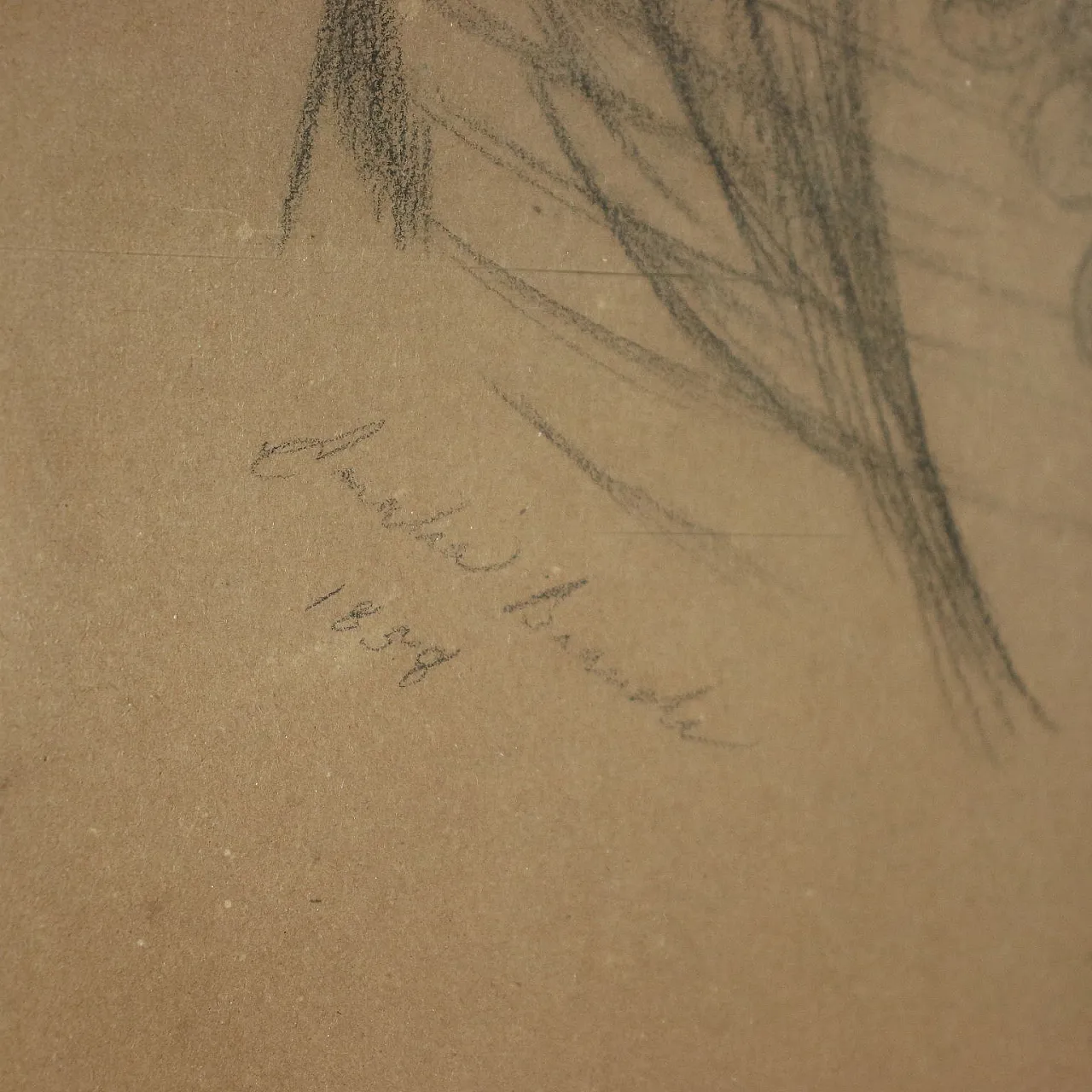 Ritratto di giovane donna, matita, carboncino e biacca su carta, 1858 6