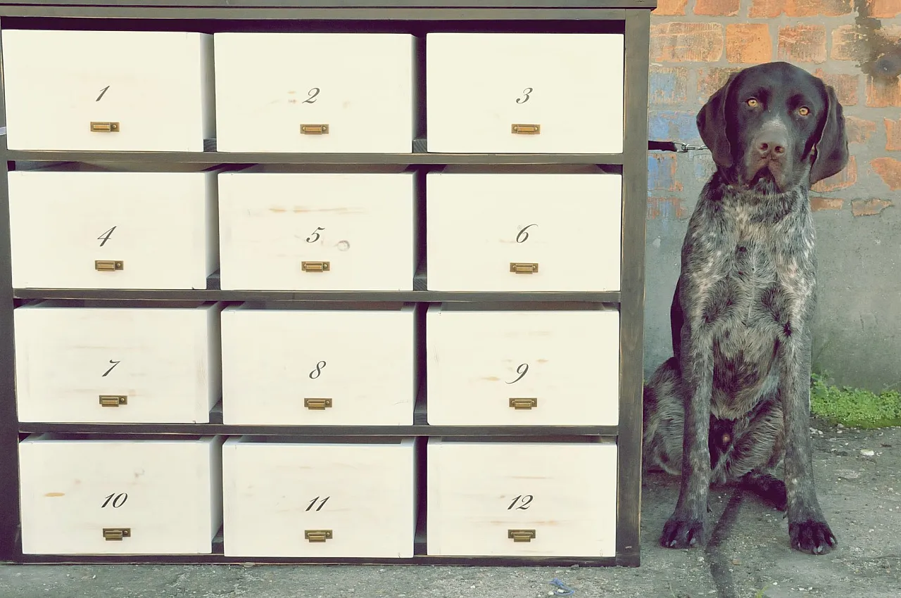 Cassettiera con 12 cassetti, anni 2000 1