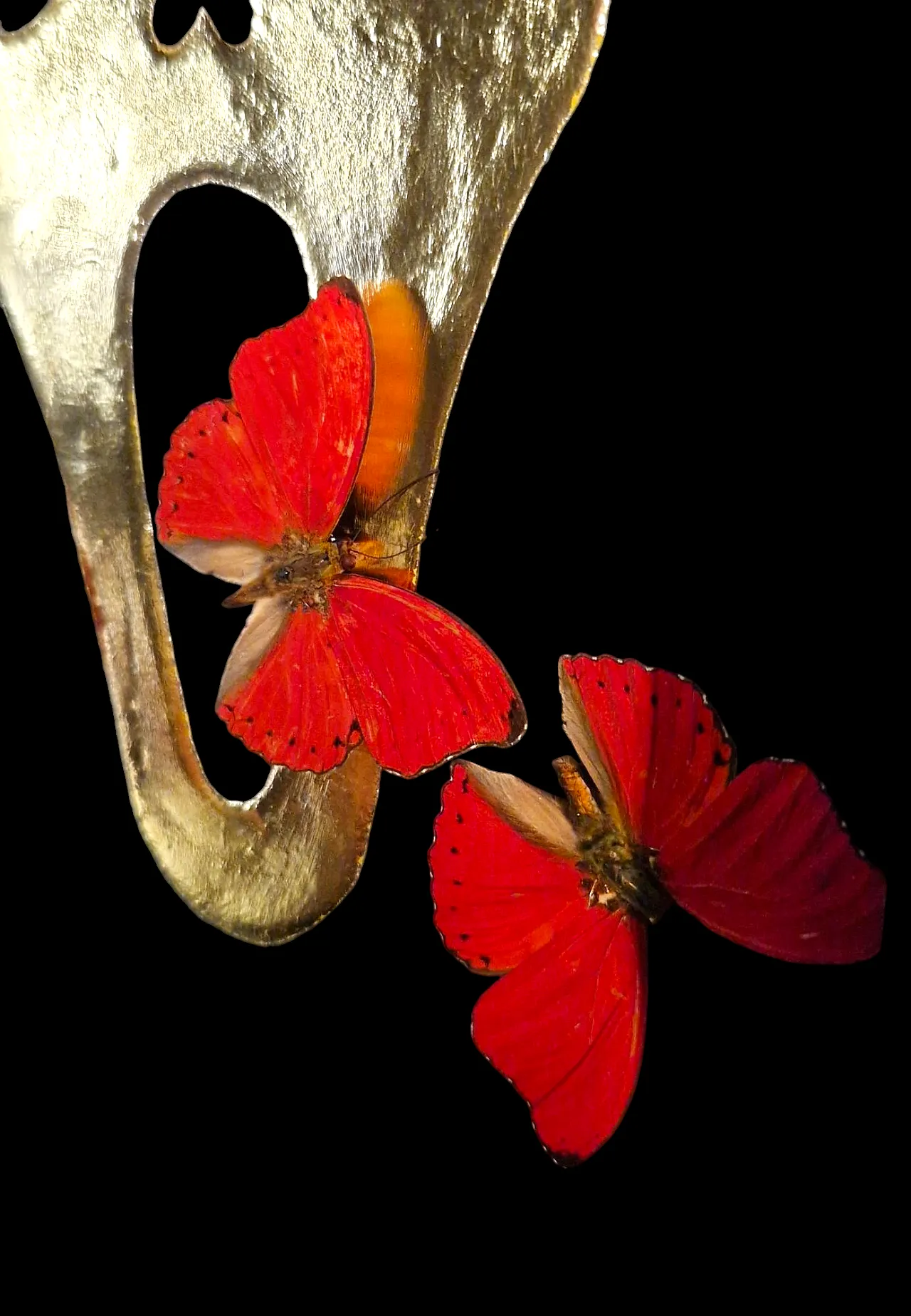 Real butterflies on 23kt gold Scream mask gilded in frame 4