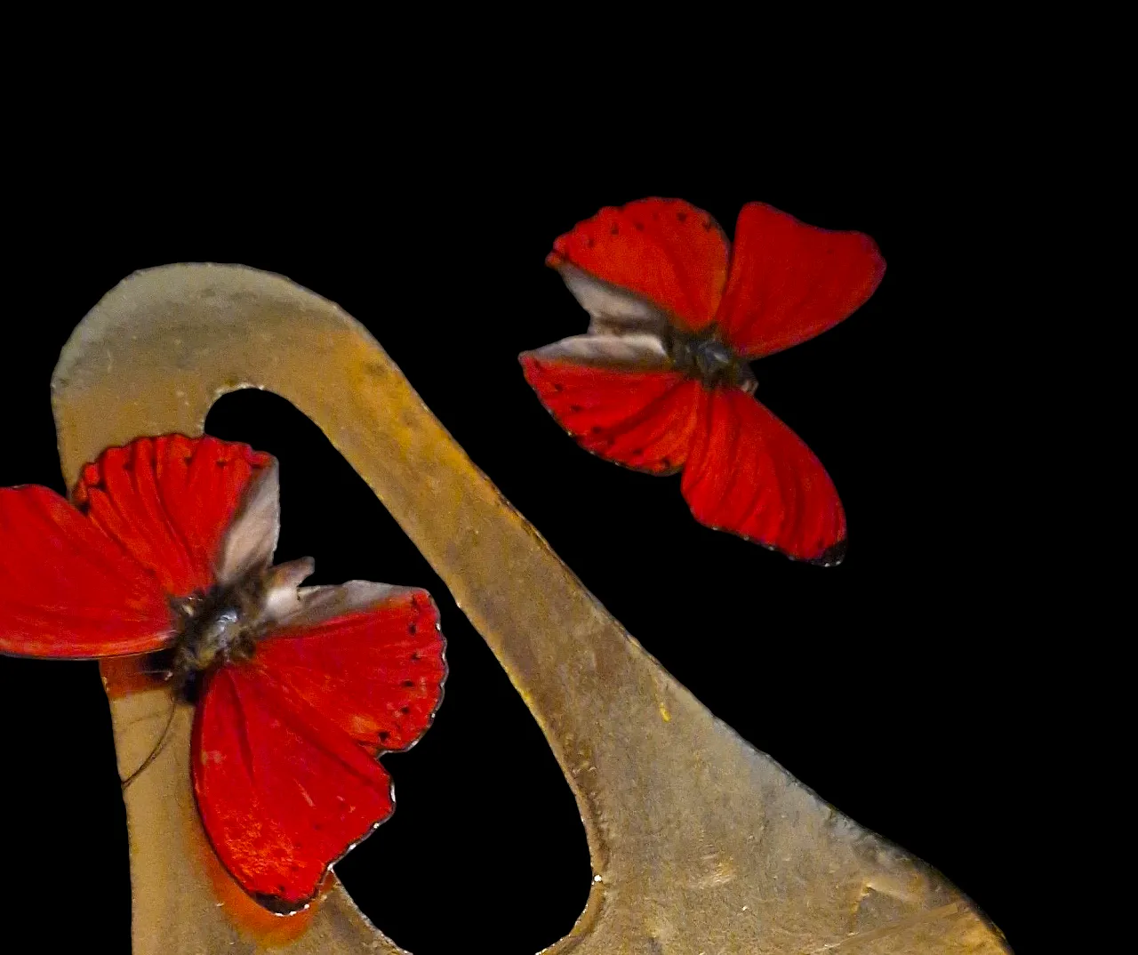 Real butterflies on 23kt gold Scream mask gilded in frame 7