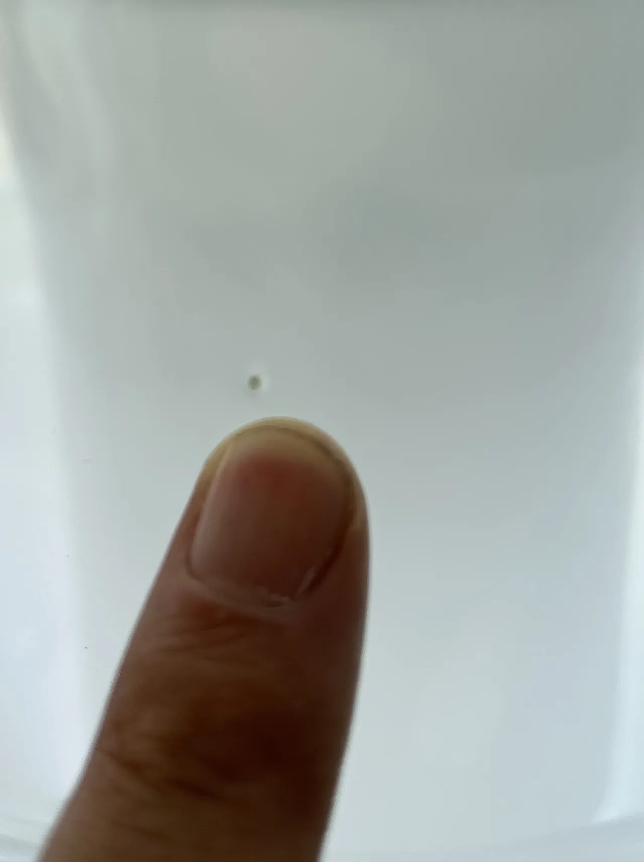 Sfumato LT316 lampada in vetro Murano di Carlo Nason per Mazzega, 1970 8