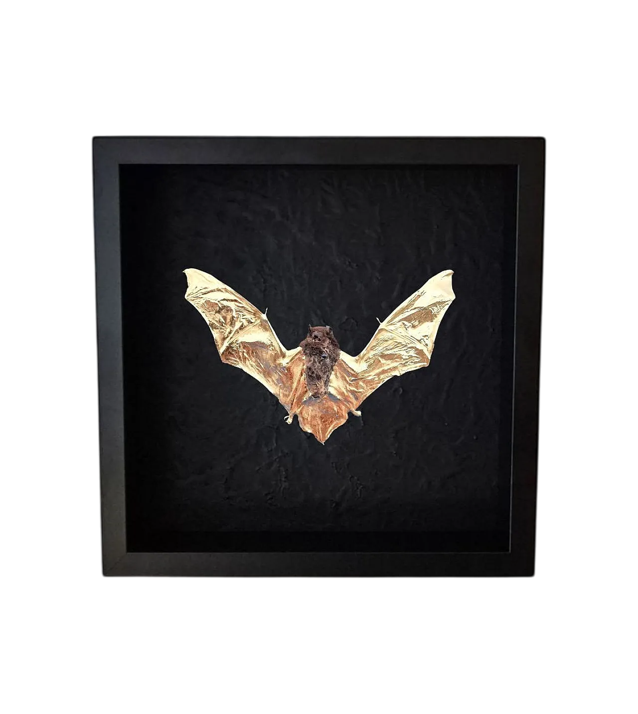 Real bat 23kt gold gilded in frame Taxidermy artwork 8