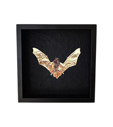 Real bat 23kt gold gilded in frame Taxidermy artwork