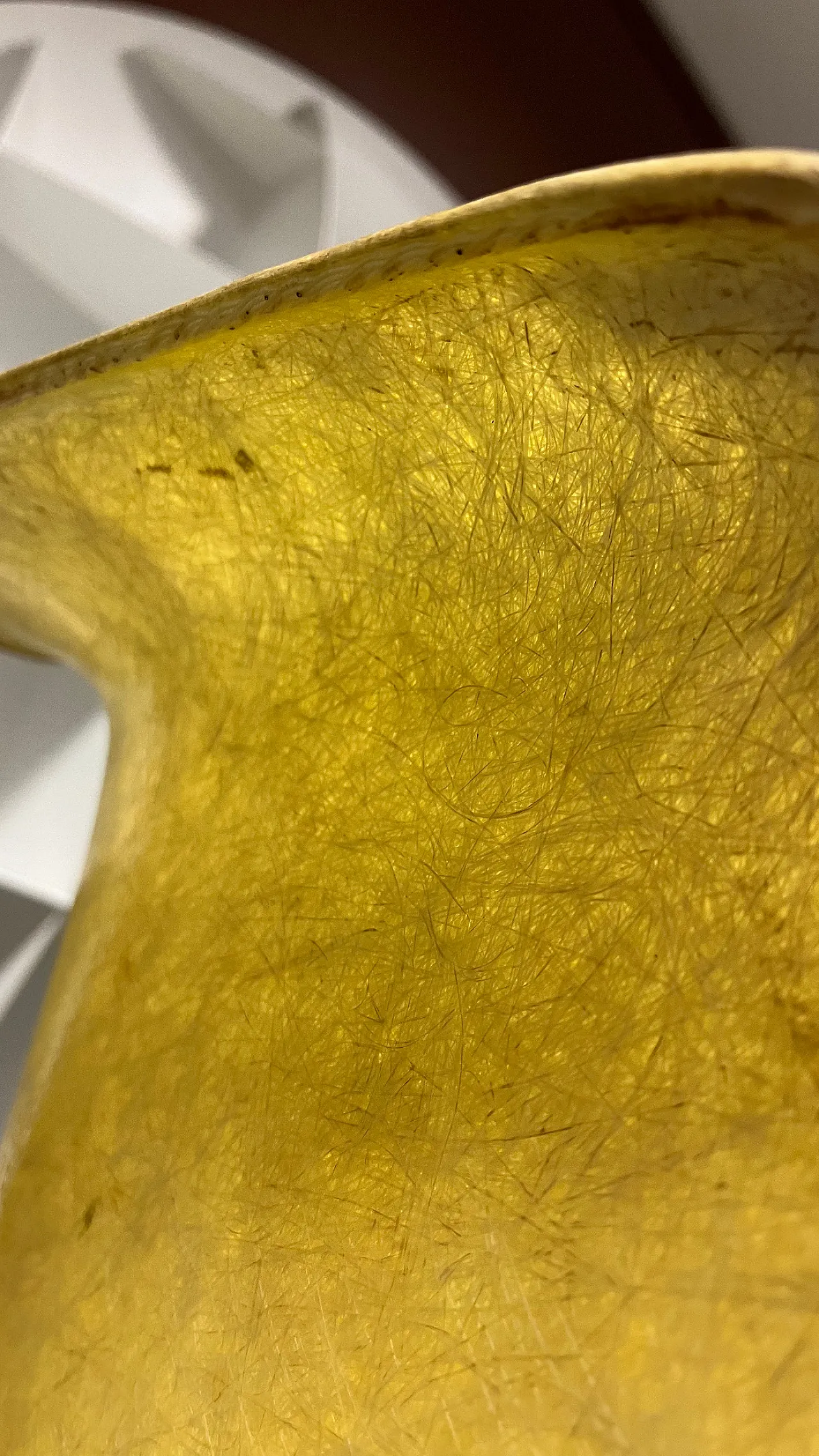 Eames Zenith chair 50s 3