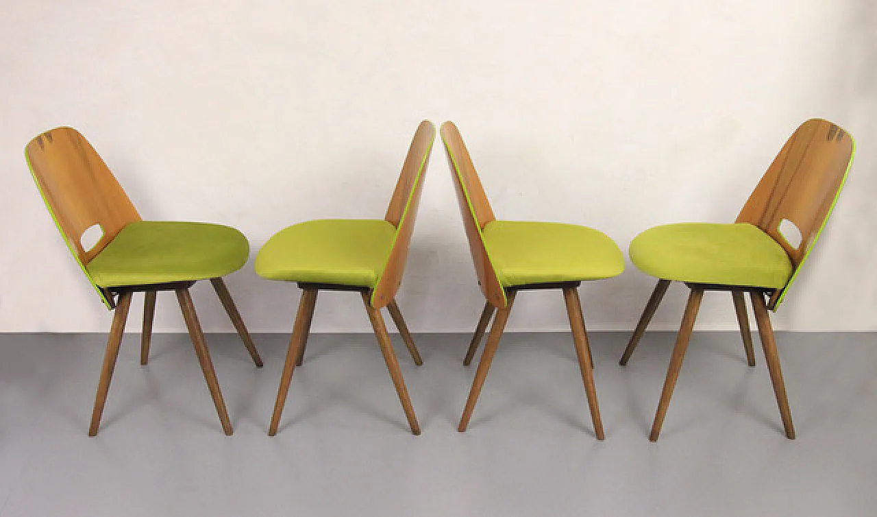 Sedie Tatra Pravenc "Spring Grass" 5