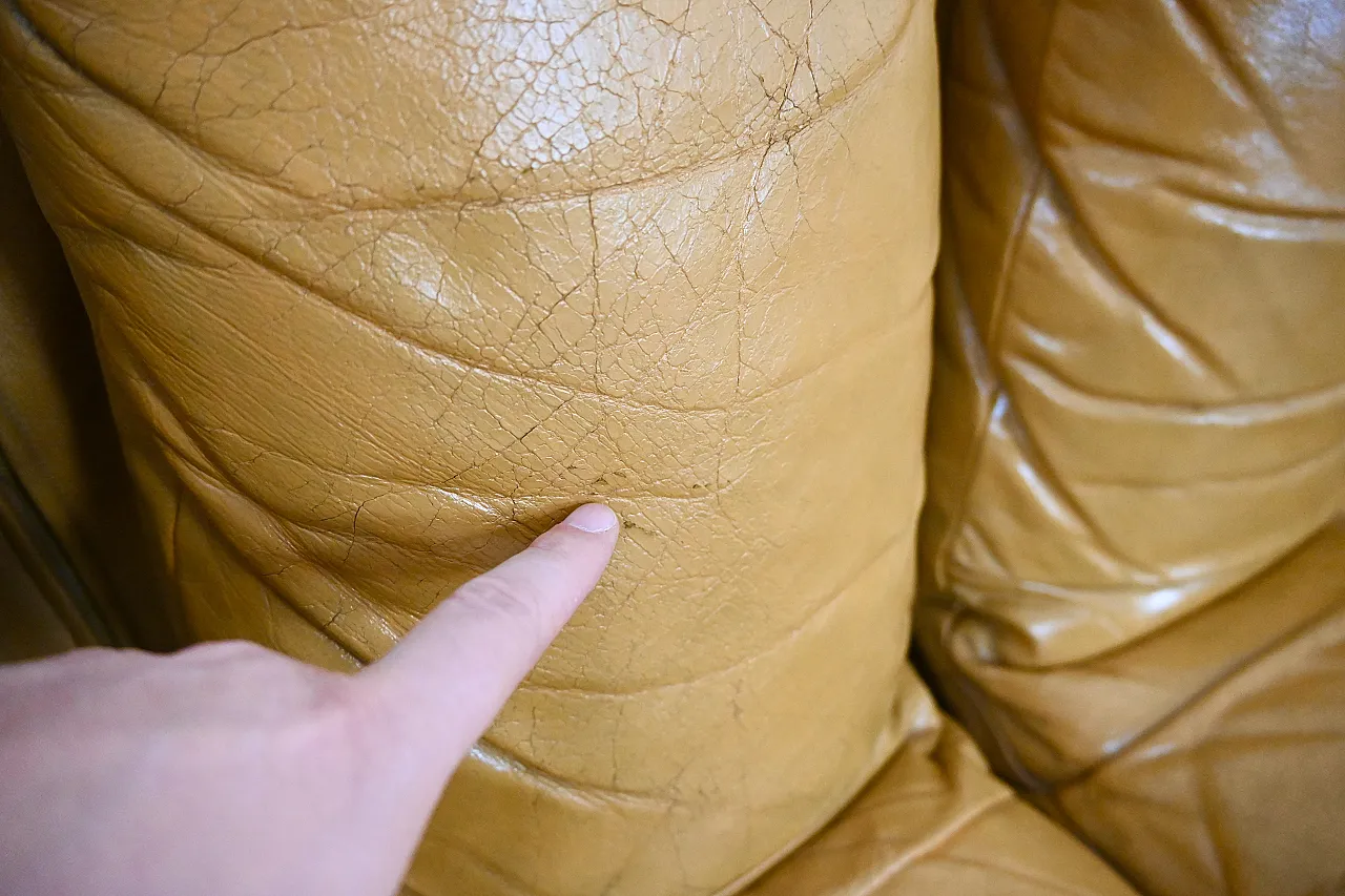 DS-600 divano di Berger, Peduzzi, Vogt & Ulrich per De Sede, 1970 12