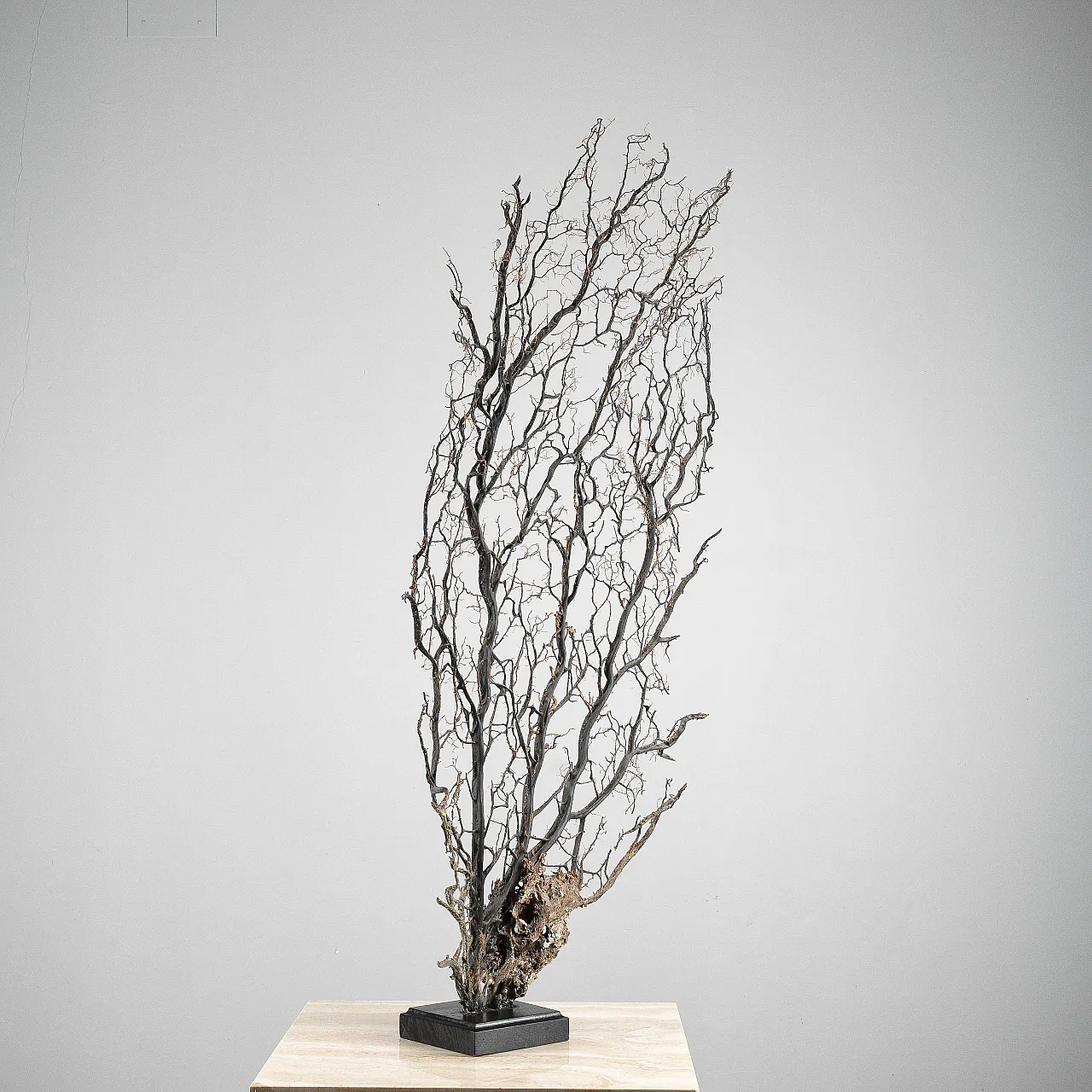 Black gorgon, 20th century 2