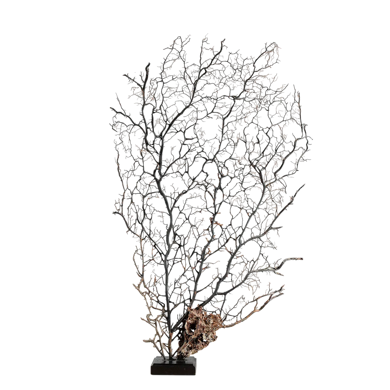 Black gorgon, 20th century 9