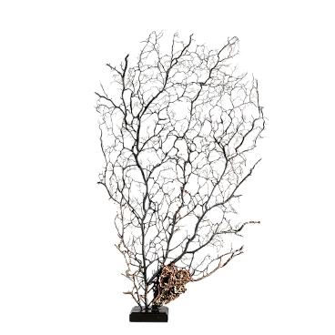 Black gorgon, 20th century