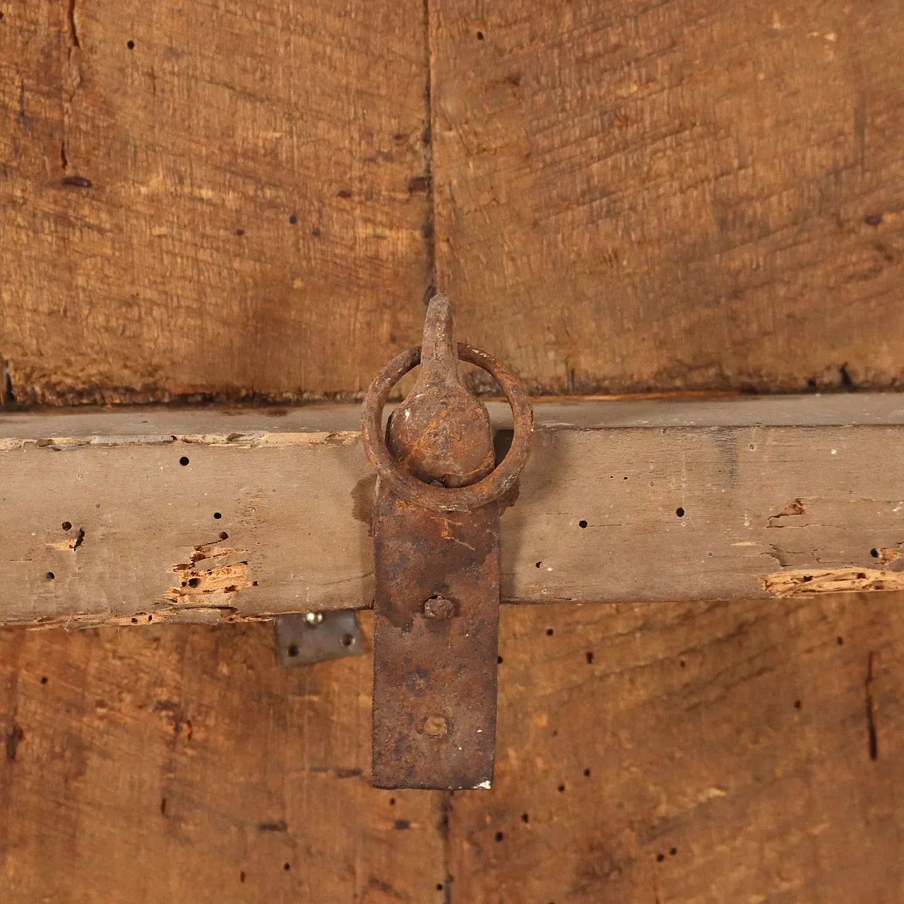 Pasqui family coat of arms in painted poplar, 18th century 10